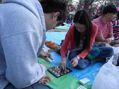 yadoya guesthouse hanami party 08 Chess